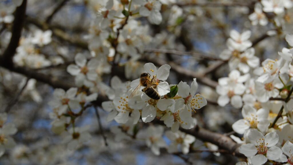 Návrh bez názvu (22)