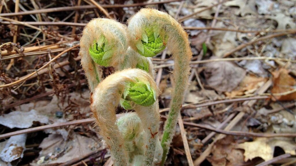 Návrh bez názvu (24)