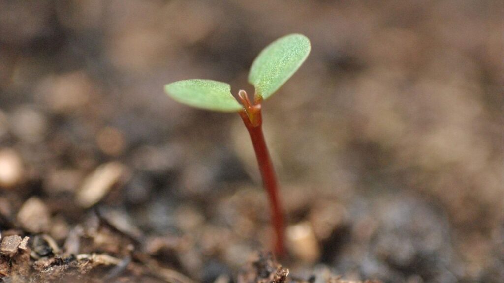 Návrh bez názvu (26)